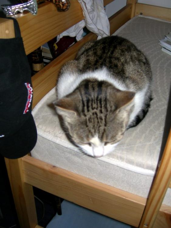 0127224grubas03.jpg